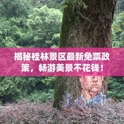 揭秘桂林景区最新免票政策,畅游美景不花钱!