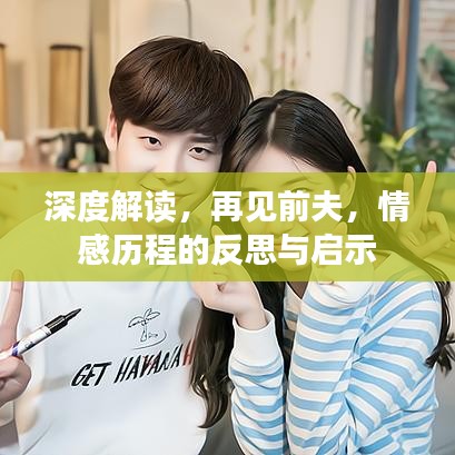 深度解读,再见前夫,情感历程的反思与启示