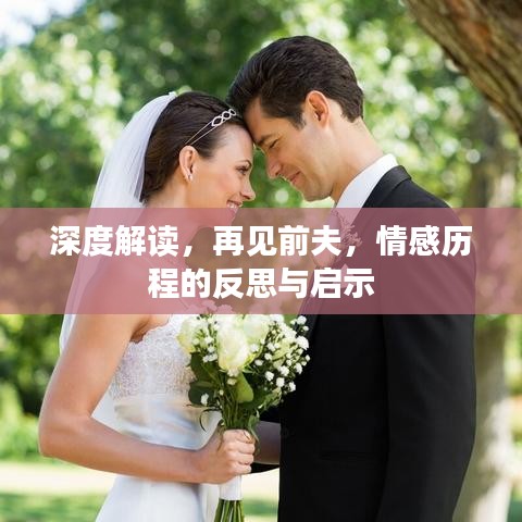 深度解读,再见前夫,情感历程的反思与启示