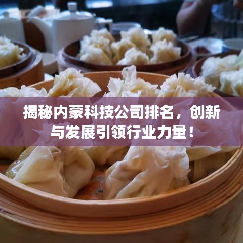揭秘内蒙科技公司排名,创新与发展引领行业力量!