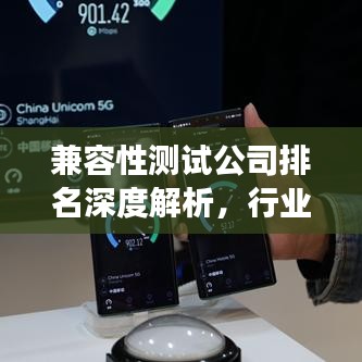 兼容性测试公司排名深度解析，行业洞察与探讨