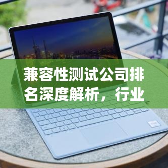 兼容性测试公司排名深度解析,行业洞察与探讨