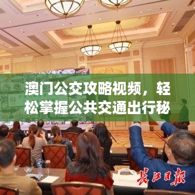 澳门公交攻略视频,轻松掌握公共交通出行秘籍,助你畅游无忧!