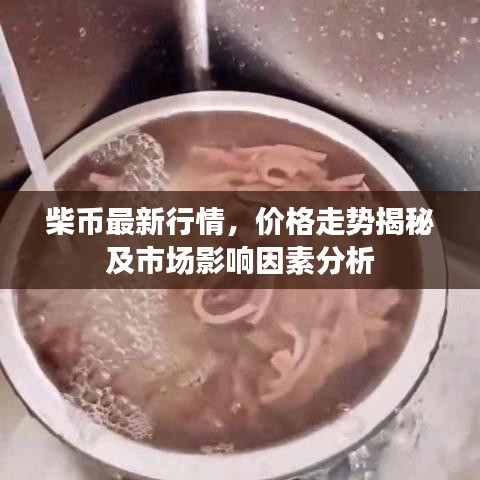 柴币最新行情，价格走势揭秘及市场影响因素分析