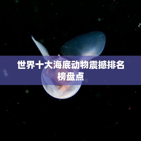 世界十大海底动物震撼排名榜盘点