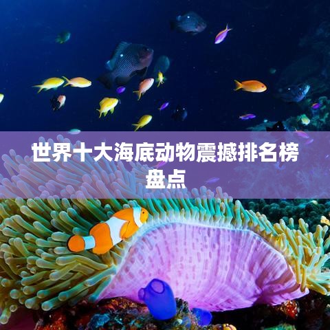 世界十大海底动物震撼排名榜盘点