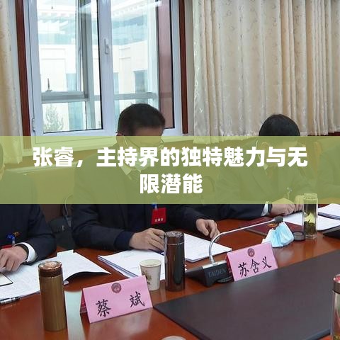 张睿，主持界的独特魅力与无限潜能