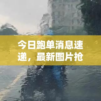 今日跑单消息速递,最新图片抢先看