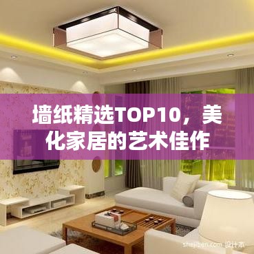 贵冠履轻头足 第4页