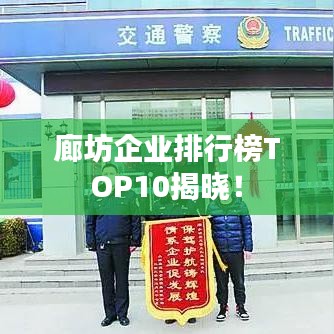 廊坊企业排行榜TOP10揭晓!