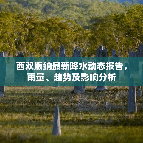 西双版纳最新降水动态报告,雨量、趋势及影响分析