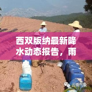西双版纳最新降水动态报告,雨量、趋势及影响分析