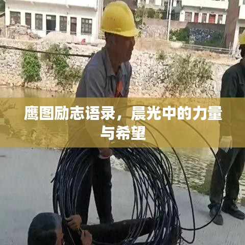 鹰图励志语录，晨光中的力量与希望