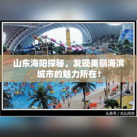 山东海阳探秘,发现美丽海滨城市的魅力所在!