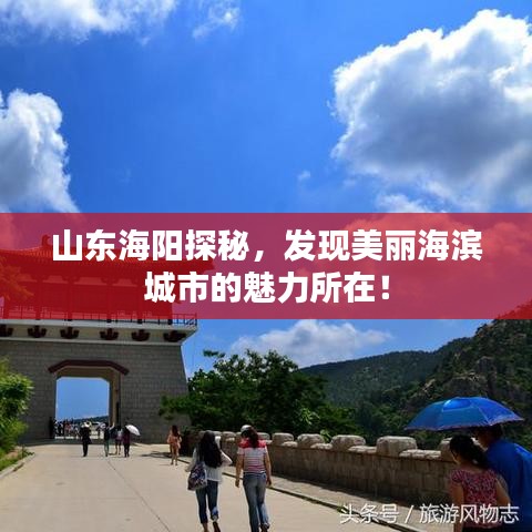 山东海阳探秘,发现美丽海滨城市的魅力所在!