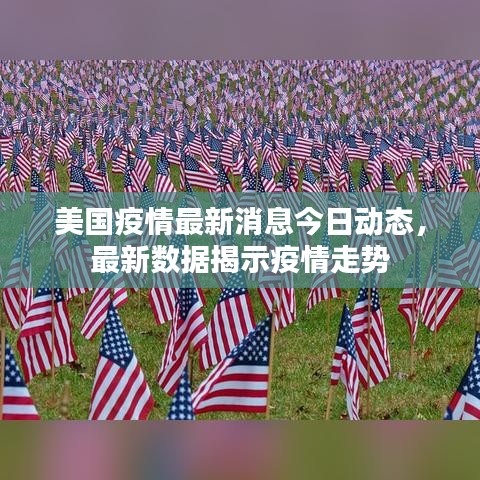 美国疫情最新消息今日动态,最新数据揭示疫情走势