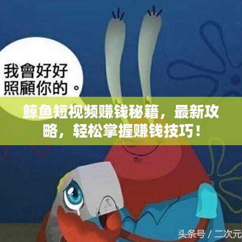 鲸鱼短视频赚钱秘籍,最新攻略,轻松掌握赚钱技巧!