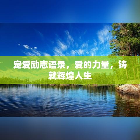 宠爱励志语录，爱的力量，铸就辉煌人生