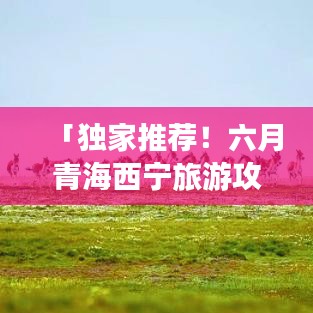 「独家推荐!六月青海西宁旅游攻略全攻略」
