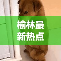 榆林最新热点新闻一网打尽,百度带你速览!