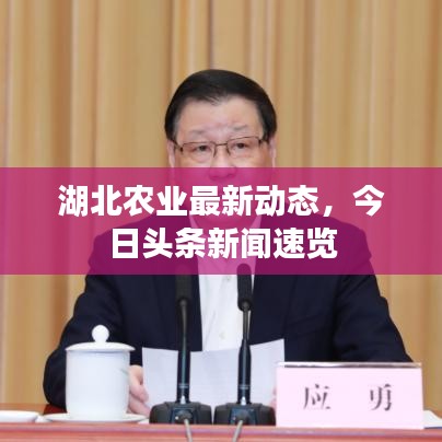 湖北农业最新动态,今日头条新闻速览