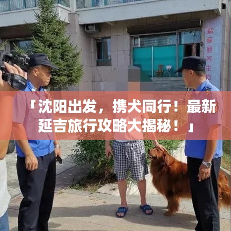 「沈阳出发,携犬同行!最新延吉旅行攻略大揭秘!」