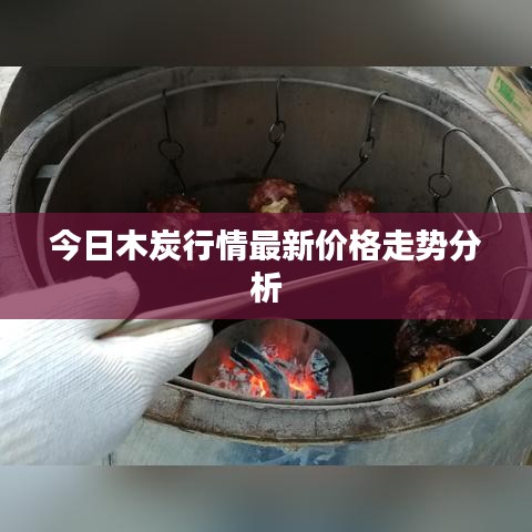 今日木炭行情最新价格走势分析
