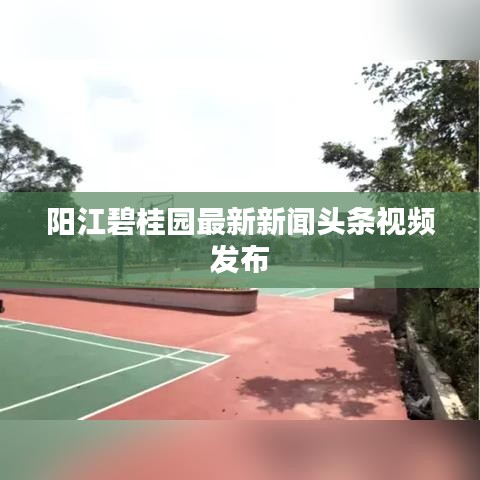 阳江碧桂园最新新闻头条视频发布