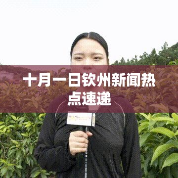 十月一日钦州新闻热点速递