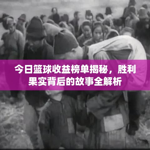 今日篮球收益榜单揭秘,胜利果实背后的故事全解析