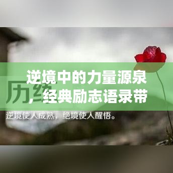 逆境中的力量源泉,经典励志语录带你走出困境