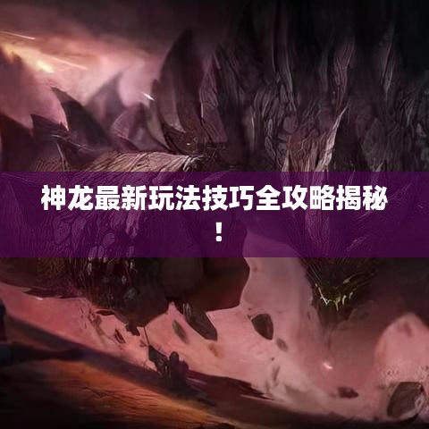 神龙最新玩法技巧全攻略揭秘!