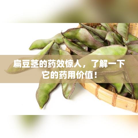 扁豆茎的药效惊人，了解一下它的药用价值！