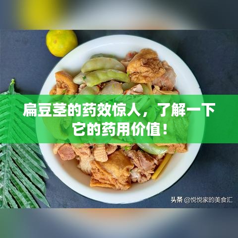 扁豆茎的药效惊人,了解一下它的药用价值!
