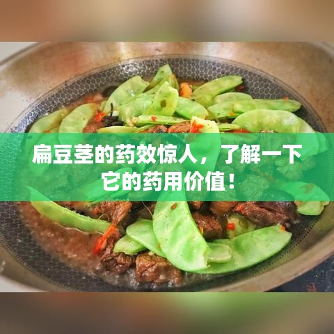 扁豆茎的药效惊人,了解一下它的药用价值!