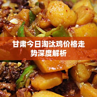 甘肃今日淘汰鸡价格走势深度解析