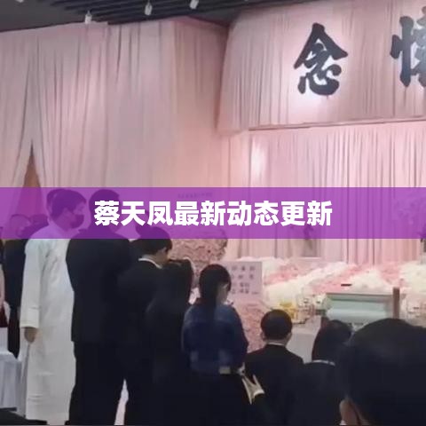 云屯鸟散 第4页