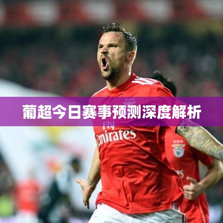 葡超今日赛事预测深度解析