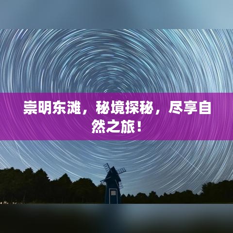 崇明东滩,秘境探秘,尽享自然之旅!
