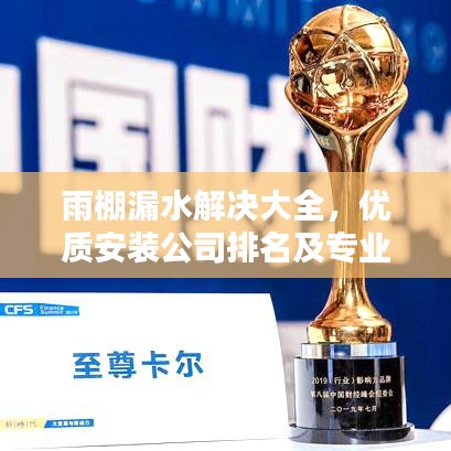 雨棚漏水解决大全，优质安装公司排名及专业解决方案