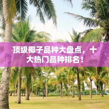 顶级椰子品种大盘点,十大热门品种排名!