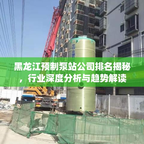 黑龙江预制泵站公司排名揭秘,行业深度分析与趋势解读