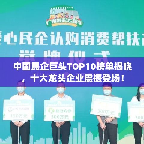 中国民企巨头TOP10榜单揭晓,十大龙头企业震撼登场!