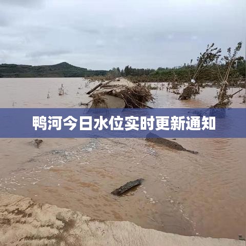 鸭河今日水位实时更新通知
