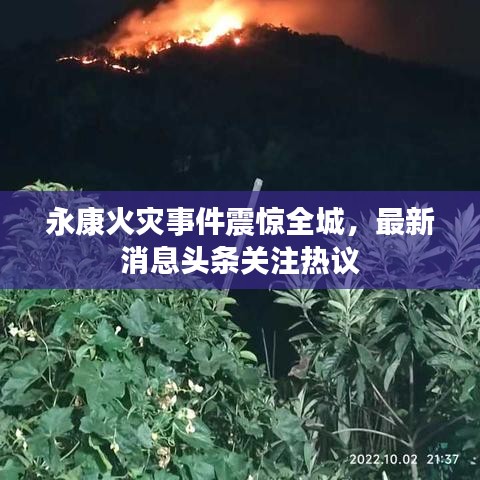 永康火灾事件震惊全城,最新消息头条关注热议