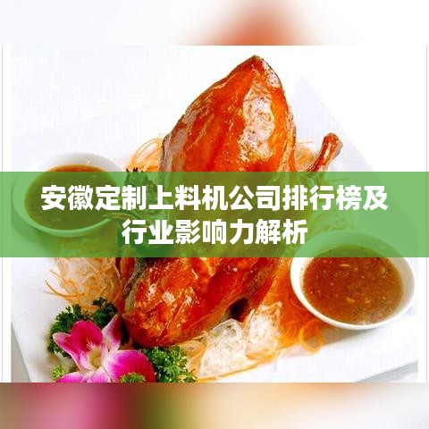 安徽定制上料机公司排行榜及行业影响力解析