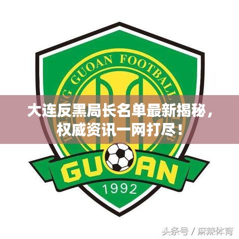 大连反黑局长名单最新揭秘，权威资讯一网打尽！