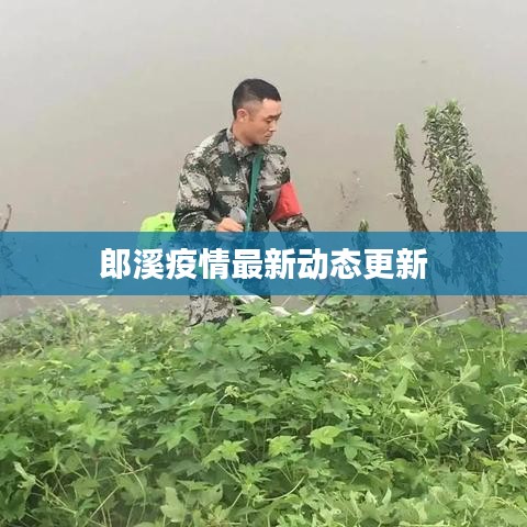 郎溪疫情最新动态更新