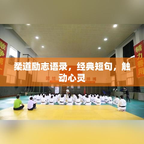 柔道励志语录，经典短句，触动心灵