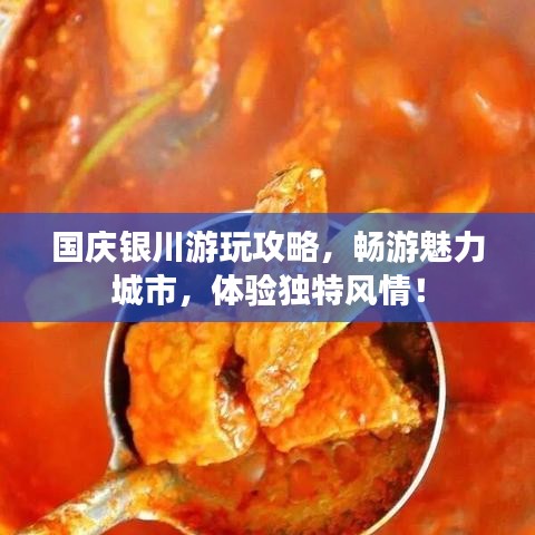 国庆银川游玩攻略,畅游魅力城市,体验独特风情!